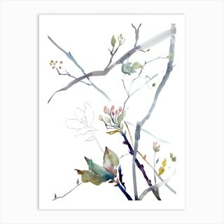 Cherry Blossom 4 Art Print