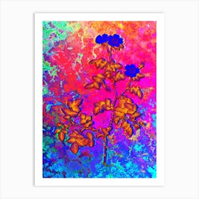 White Sweetbriar Rose Botanical in Acid Neon Pink Green and Blue n.0189 Art Print