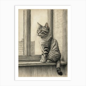 Cat On A Window Sill Art Print