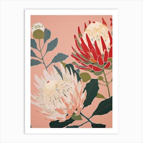 Proteas Flower Big Bold Illustration 2 Art Print