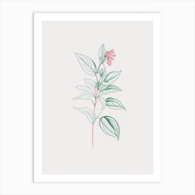 Peppermint Floral Minimal Line Drawing 1 Flower Art Print
