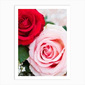 A Closeup Of A Rose The Archetype Of Romance And Beauty Rendered In Vibrant Hues Such As Tender Pi (4) Art Print