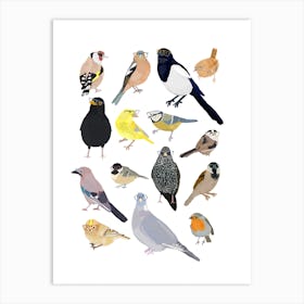 Uk Birds Art Print
