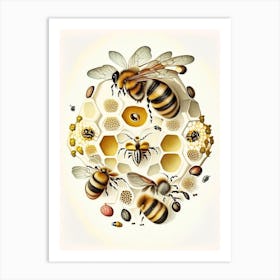 Colony Of Bees 5 Vintage Art Print