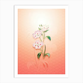 Pink Oenothera Flower Vintage Botanical in Peach Fuzz Seigaiha Wave Pattern n.0258 Art Print