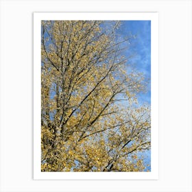 Autumn Tree — Stock Photo Art Print