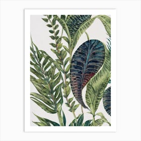 Trilobite Vintage Graphic Watercolour Art Print