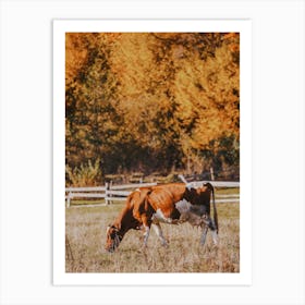 Autumn Cow Scenery Art Print