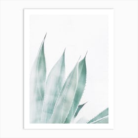 Blue Agave Art Print