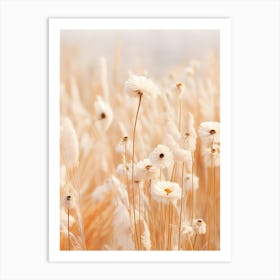 Boho Dried Flowers Daisy 1 Art Print