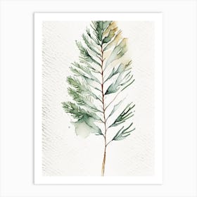 White Pine Leaf Minimalist Watercolour 1 Art Print