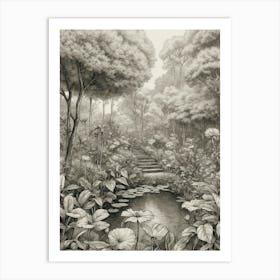 Lily Pond Art Print