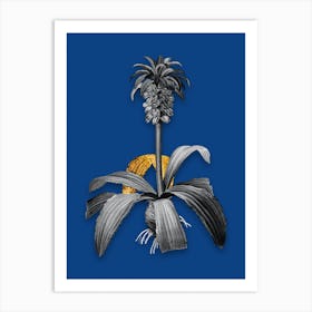 Vintage Eucomis Regia Black and White Gold Leaf Floral Art on Midnight Blue n.1098 Art Print