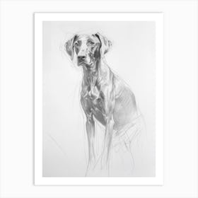 Vizsla Dog Charcoal Line 3 Art Print