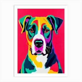 Greater Swiss Mountain Dog Andy Warhol Style Dog Art Print