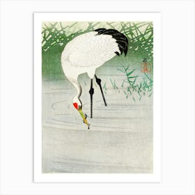 Fishing Crane In Shallow Water (1900 1945), Ohara Koson Art Print