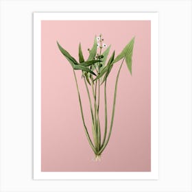 Vintage Arrowhead Botanical on Soft Pink n.0435 Art Print