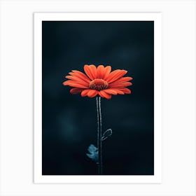 Gerbera Flower Art Print