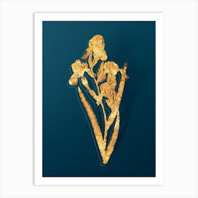 Vintage Elder Scented Iris Botanical in Gold on Teal Blue n.0246 Art Print