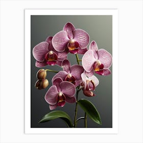 Orchids 3 Art Print