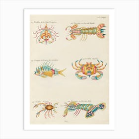 Colourful And Surreal Illustrations Of Crabs And Lobster Found In Moluccas (Indonesia) And The East Indies, Louis Renard(6) Art Print
