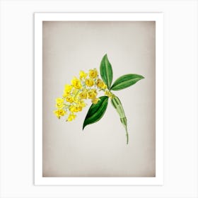 Vintage Dense Flowered Dendrobium Botanical on Parchment n.0961 Art Print