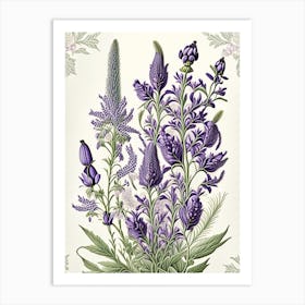 Lavender Floral 3 Botanical Vintage Poster Flower Art Print