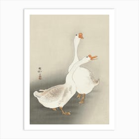 Two Geese (1900 1930), Ohara Koson Art Print