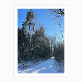 Winter In The Woods 6 Art Print