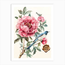 Chinese Peony Art Print