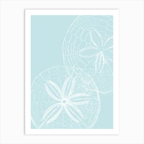 Sand Dollars 2 Art Print