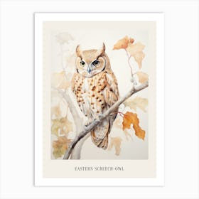 Vintage Bird Drawing Eastern Screech Owl 1 Poster Art Print