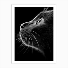 Black Cat Portrait Art Print