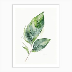 Comfrey Leaf Minimalist Watercolour Art Print