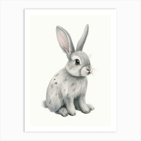 English Silver Rabbit Kids Illustration 1 Art Print