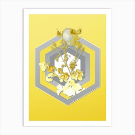 Botanical Celery Leaved Cabbage Rose in Gray and Yellow Gradient n.252 Art Print