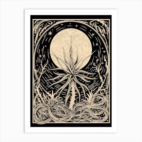 B&W Plant Illustration Air Plant Art Print