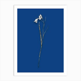 Vintage Blue Pipe Black and White Gold Leaf Floral Art on Midnight Blue n.0794 Art Print