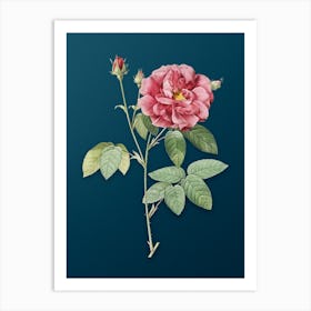 Vintage French Rose Botanical Art on Teal Blue n.0632 Art Print