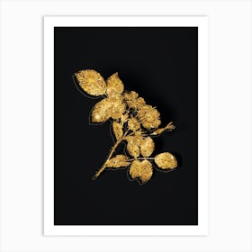 Vintage Redleaf Rose Botanical in Gold on Black n.0171 Art Print