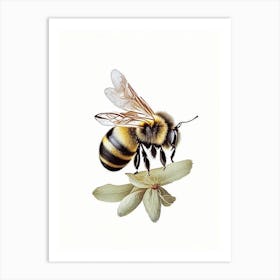 Solitary Bee 1 Vintage Art Print