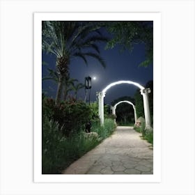 Moonlight In The Garden Art Print