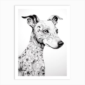 Whippet Dog, Line Drawing 4 Art Print