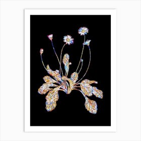 Stained Glass Daisy Flowers Mosaic Botanical Illustration on Black n.0233 Art Print