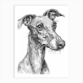 Whippet Dog Line Sketch 1 Art Print