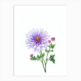 Chrysanthemums Purple  Watercolour Flower Art Print