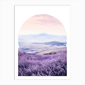 Lavender Field Canvas Print Art Print