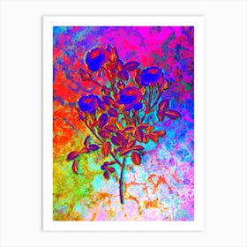 Burgundian Rose Botanical in Acid Neon Pink Green and Blue n.0290 Art Print