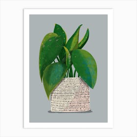 Rubber Plant Grey  Art Print