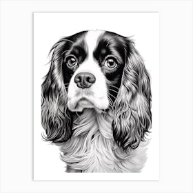 Cavalier King Charles Spaniel Dog, Line Drawing 4 Art Print